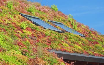 Mulbarton living roof systems
