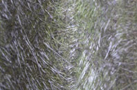 Mulbarton fibreglass roof work